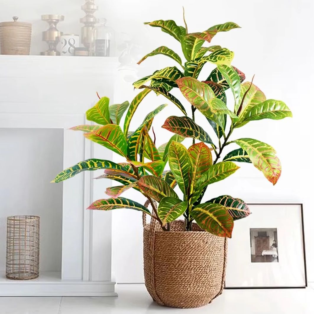 Dracaena Marginata - 21-120cm planta artificial falso banyan árvore