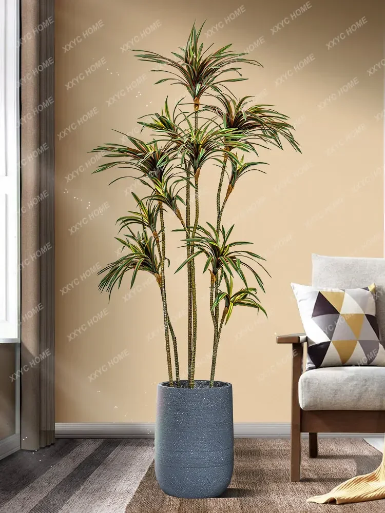 Dracaena de Simulação, Dracaen - Dracaena Marginata avaliação e preço