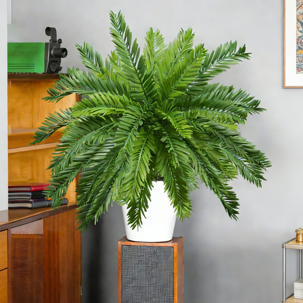 Plantas de palmeira artificiai - Dracaena Marginata avaliação e preço