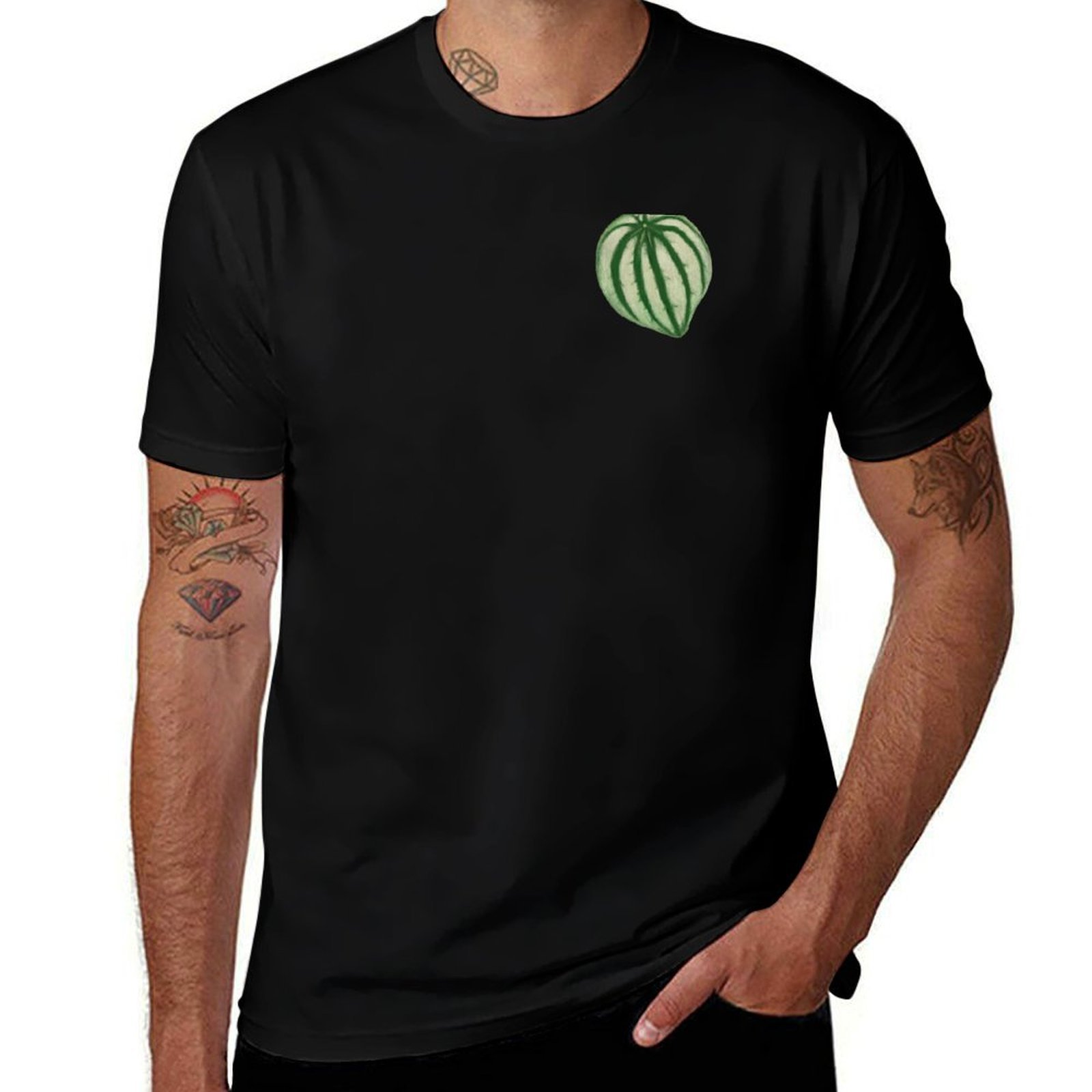 Camiseta Watermelon Peperomia  - Peperomia Watermelon avaliação e preço